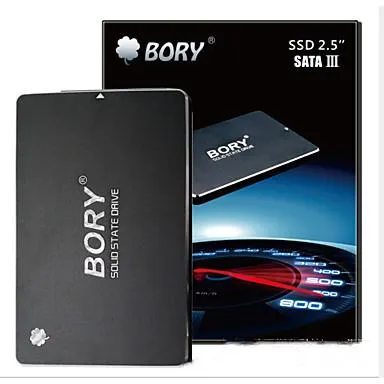 Bory 256GB SATA3 R500-C256G SSD HDD (550/500 Mbs)