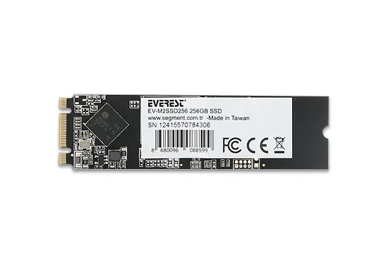 Everest 256GB M.2 Sata 550-450MB/s SSD EV-M2SSD256